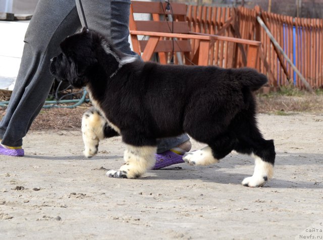 Фотография № 180064