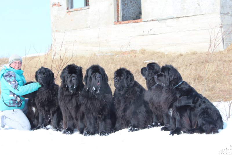 Фотография № 180076