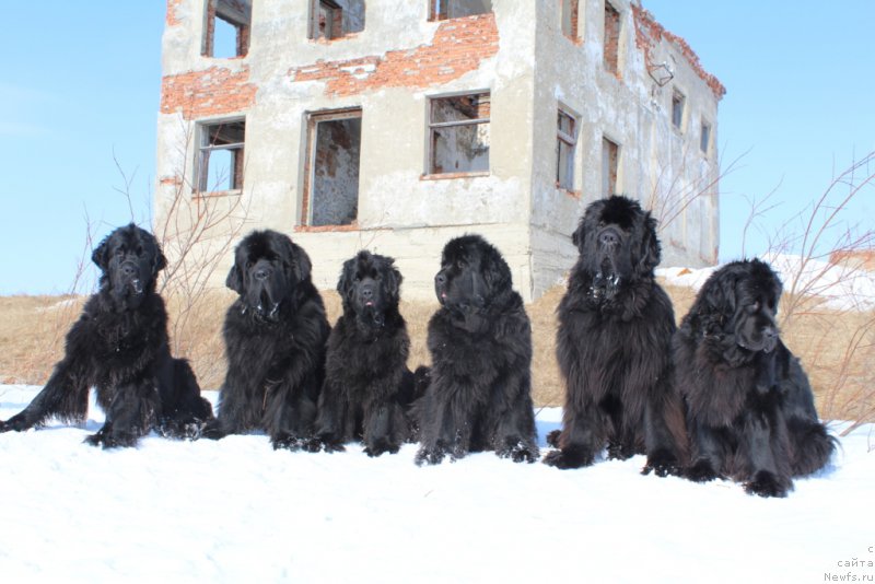 Фотография № 180077