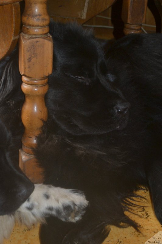 Фотография № 180083