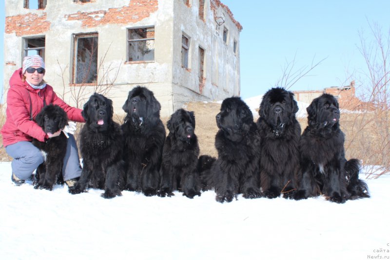 Фотография № 180088