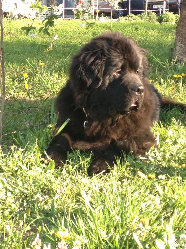 Фотография № 180093