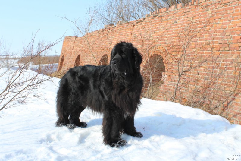 Фотография № 180094