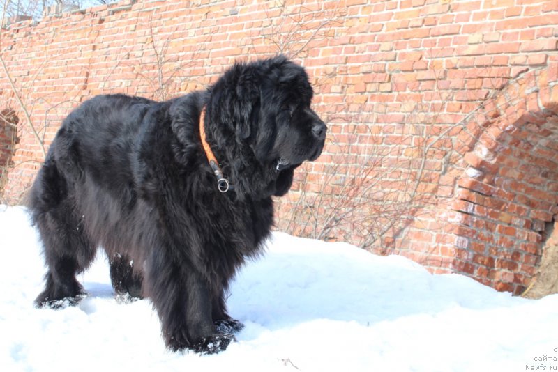 Фотография № 180096