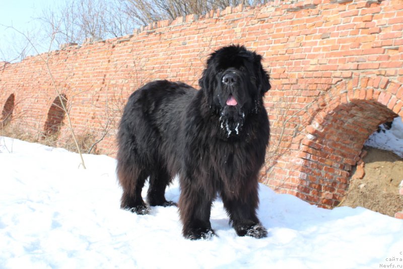 Фотография № 180097