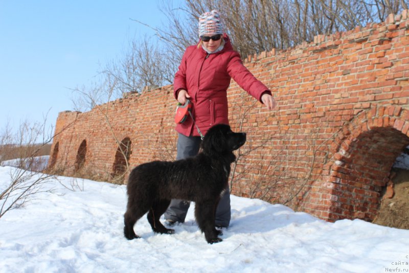 Фотография № 180107