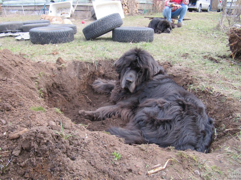 Фотография № 180121