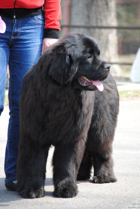 Фотография № 180130