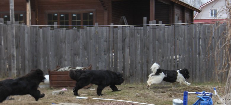 Фотография № 180135