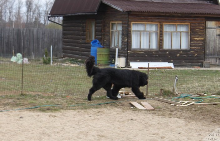 Фотография № 180140