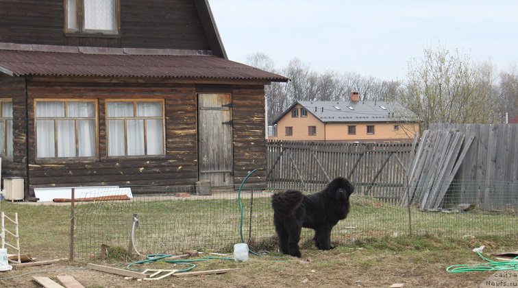 Фотография № 180141