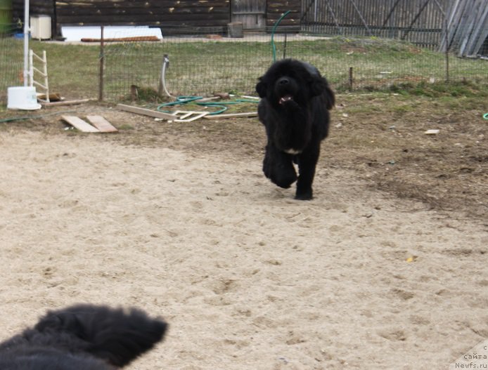 Фотография № 180142