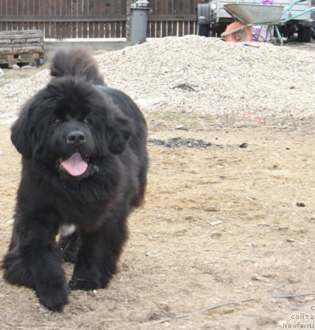 Фотография № 180143