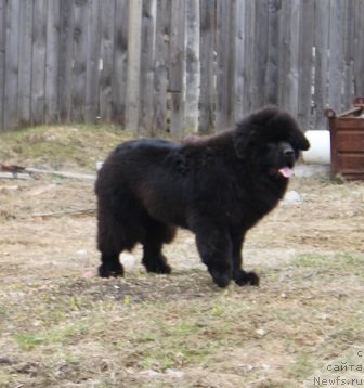 Фотография № 180145