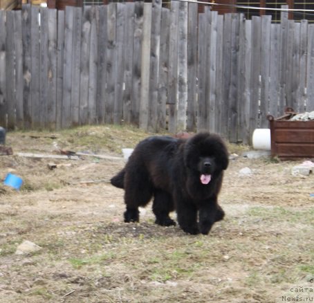 Фотография № 180146