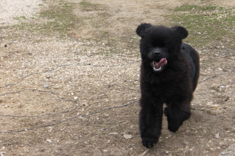 Фотография № 180147