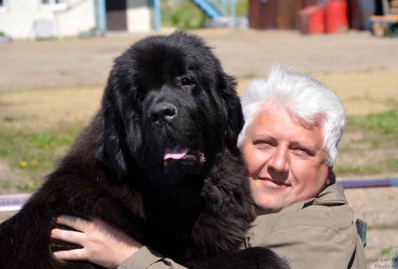 Фотография № 180149