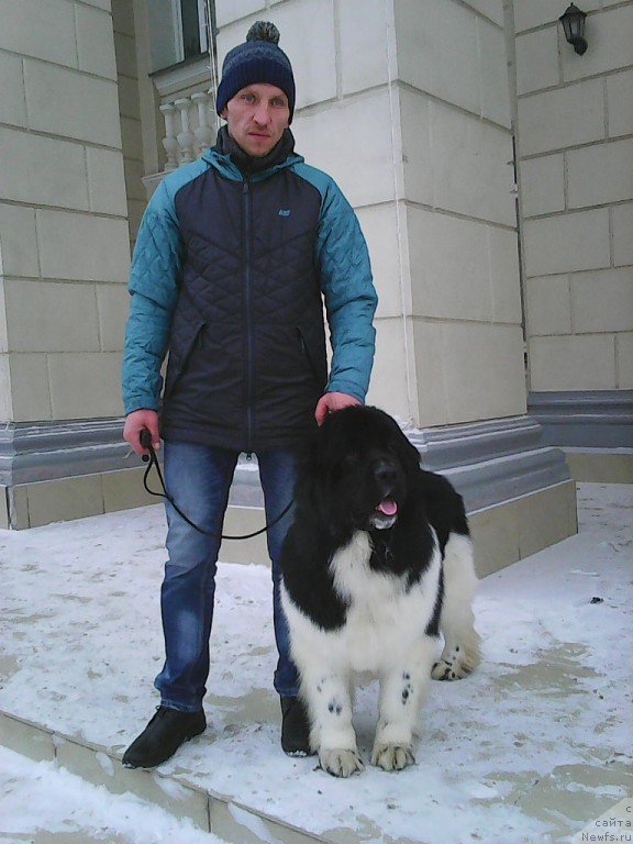 Фотография № 180152