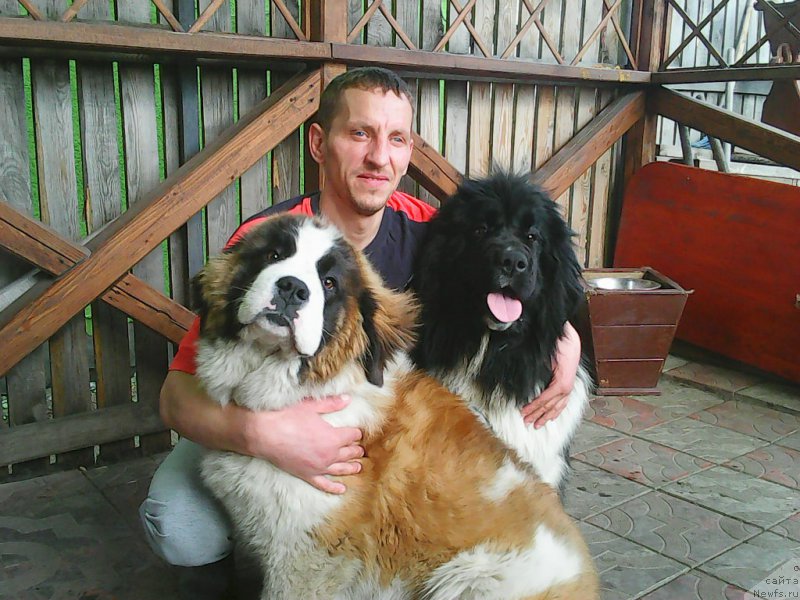 Фотография № 180155