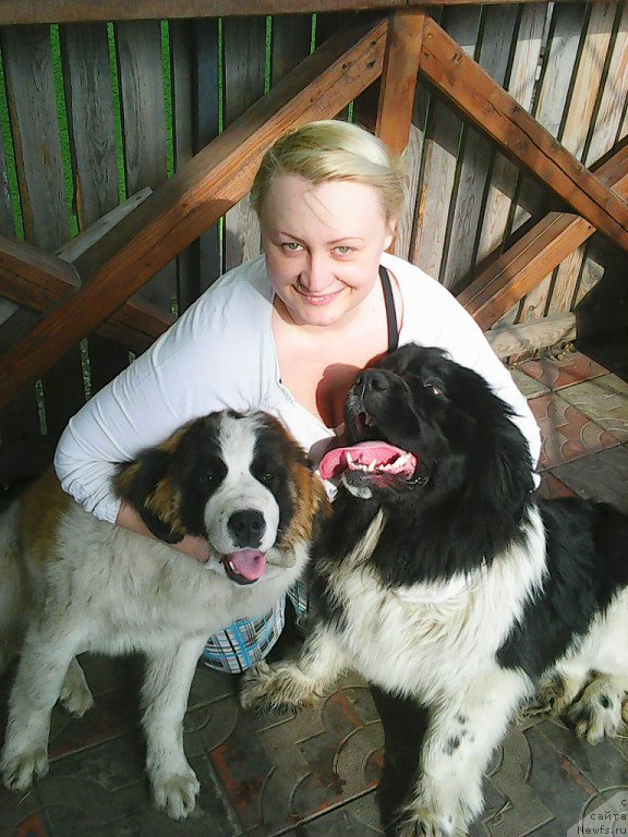 Фотография № 180156