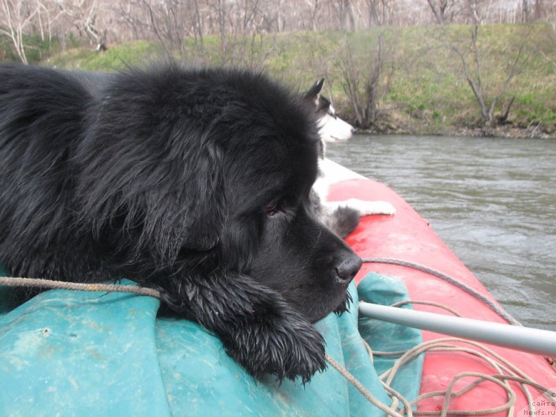 Фотография № 180162