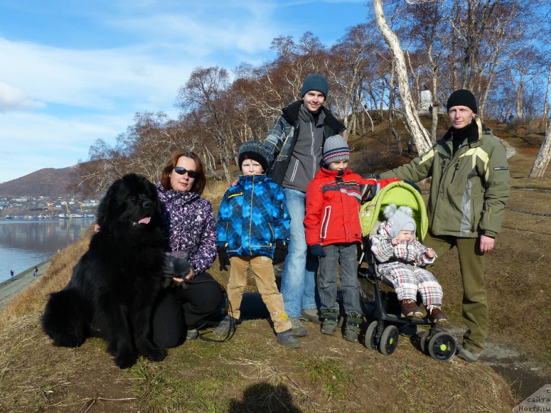 Фотография № 180164