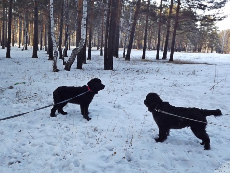 Фотография № 180168