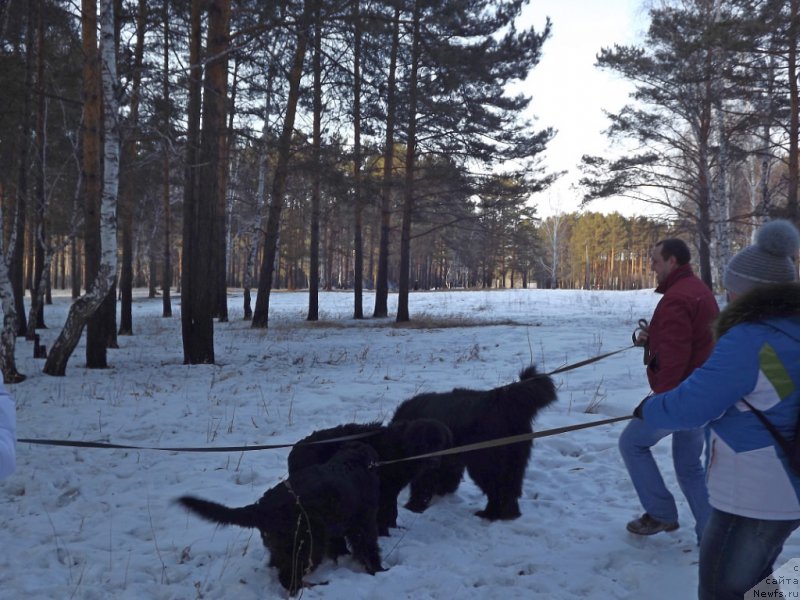 Фотография № 180169