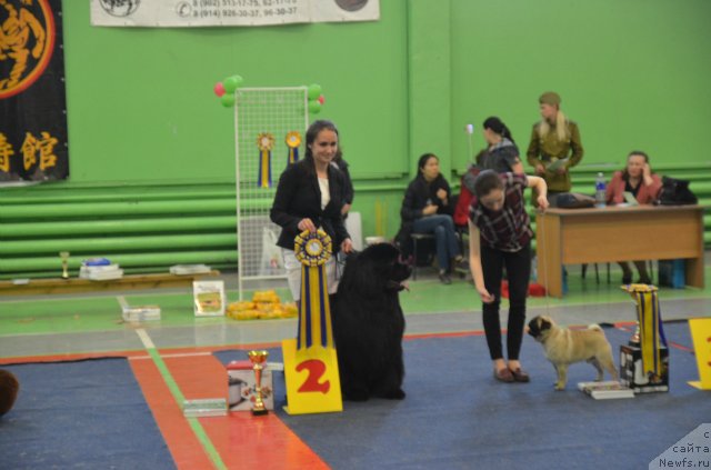 Фотография № 180172