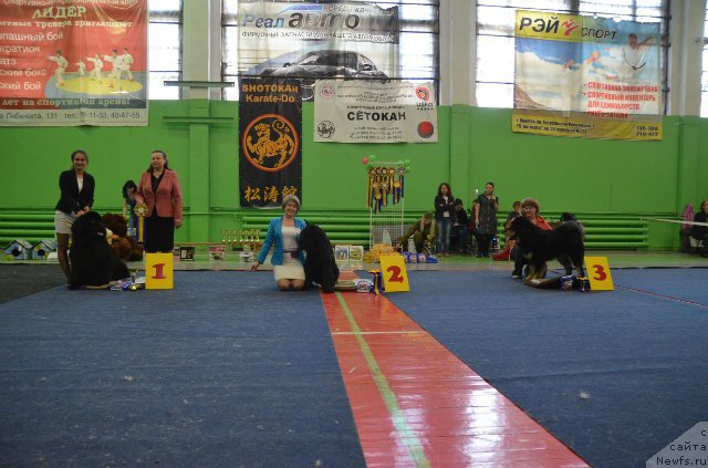 Фотография № 180175