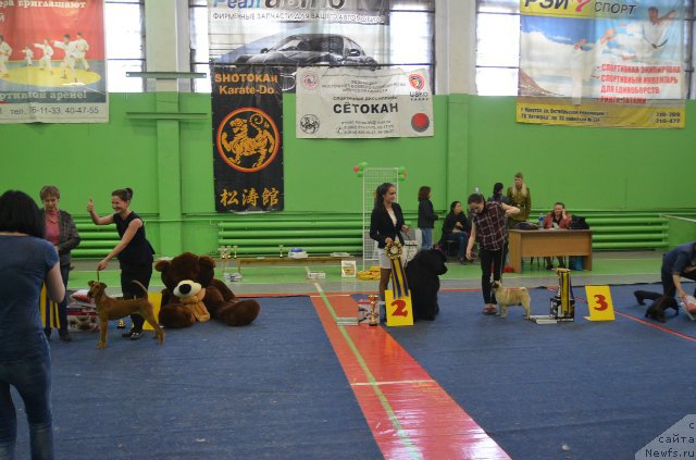 Фотография № 180176