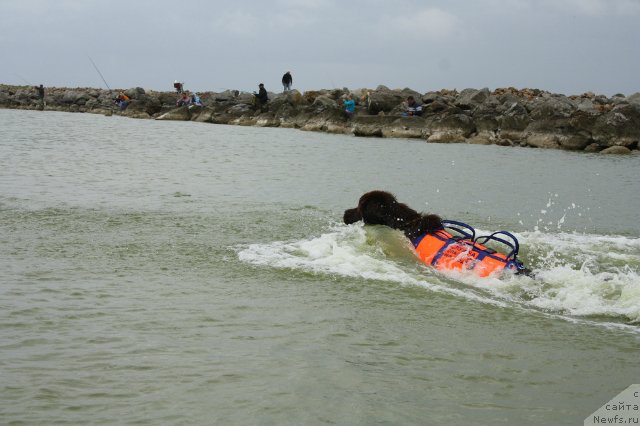 Фото: Наталья Смазчикова