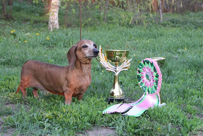 Фотография № 180211