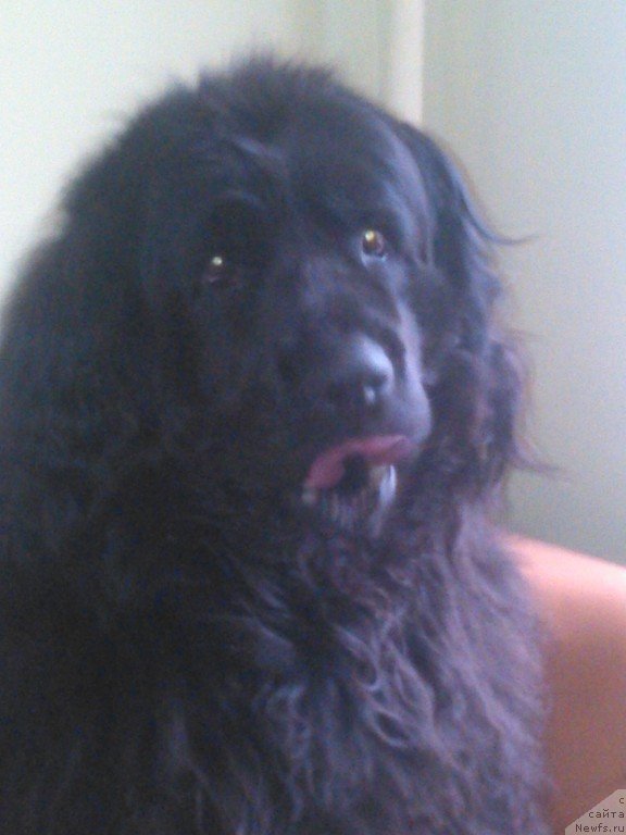 Фотография № 180217