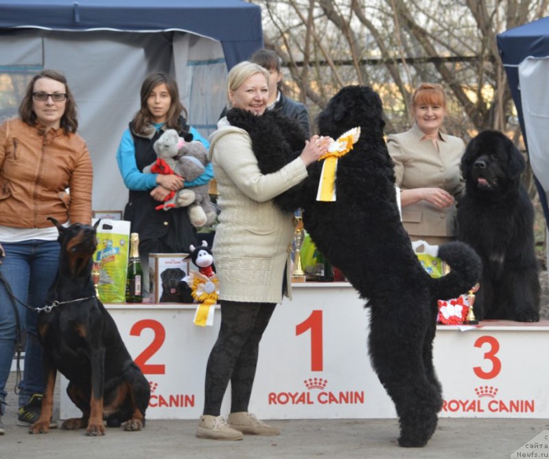 Фотография № 180222