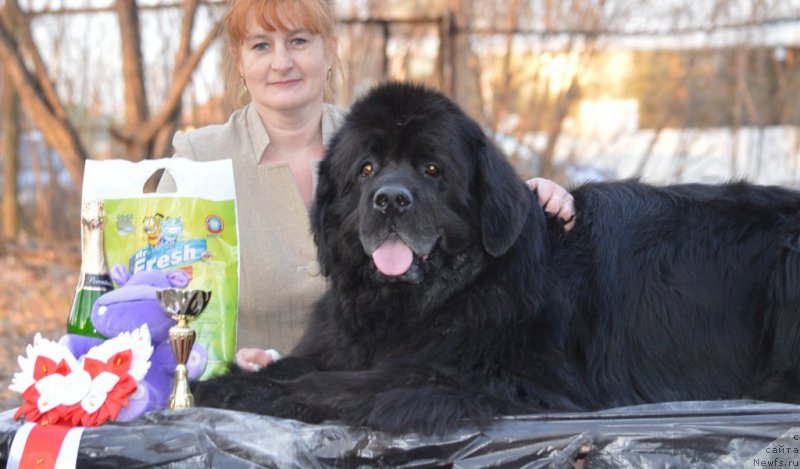 Фотография № 180223