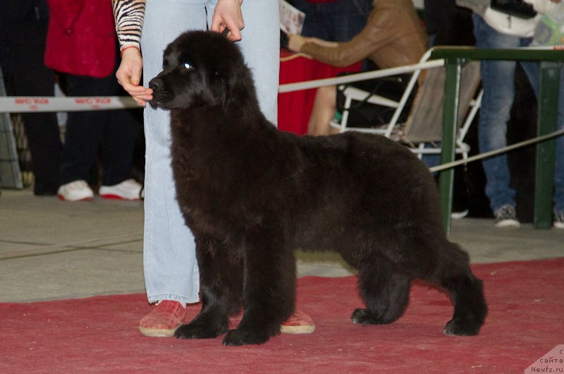 Фотография № 180255