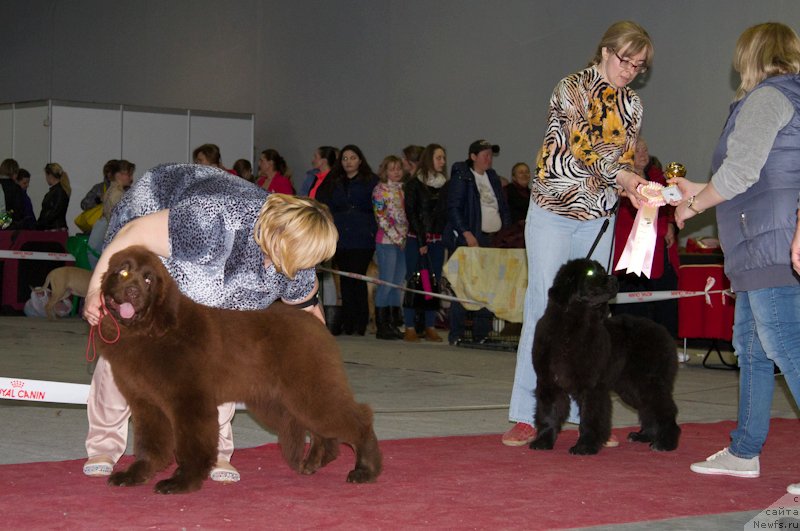 Фотография № 180256