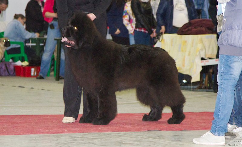 Фотография № 180258