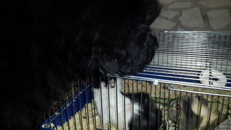 Фотография № 180263