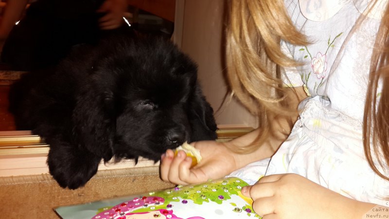 Фотография № 180265