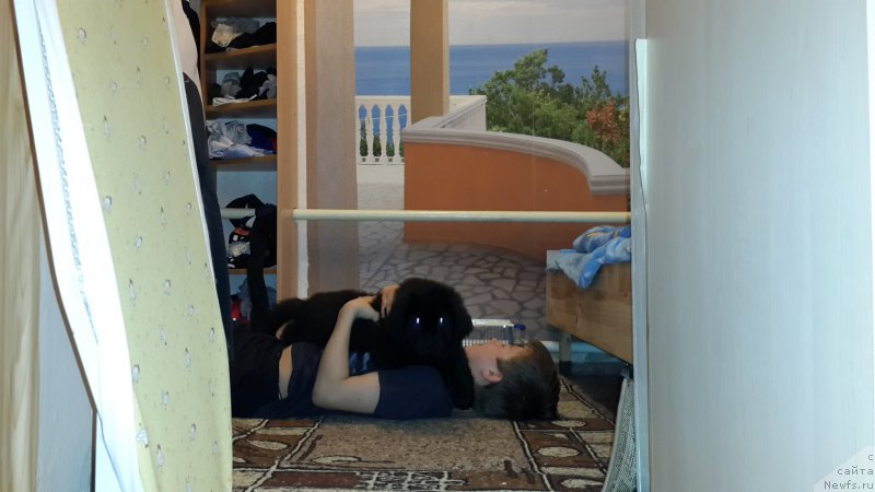 Фотография № 180266