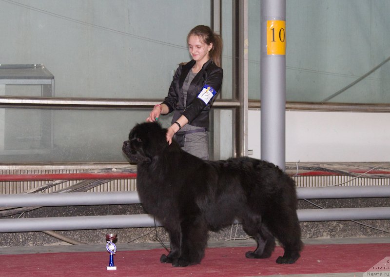 Фотография № 180274