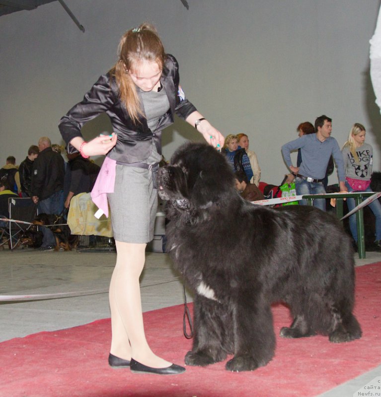 Фотография № 180280