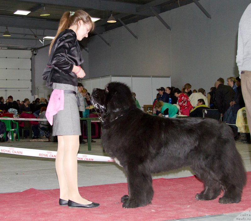 Фотография № 180282