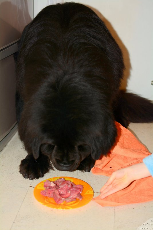 Фотография № 180290