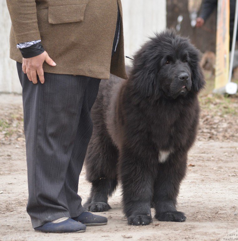 Фотография № 180296