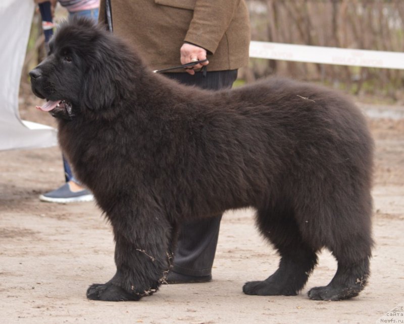 Фотография № 180297