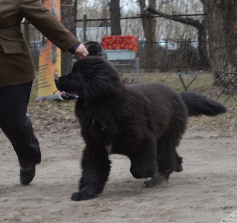 Фотография № 180298