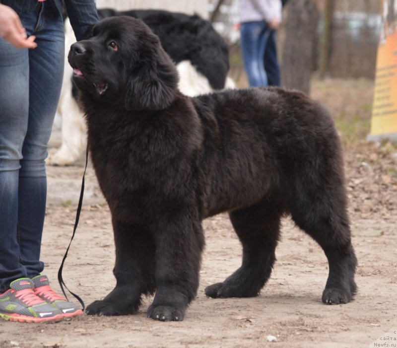 Фотография № 180299